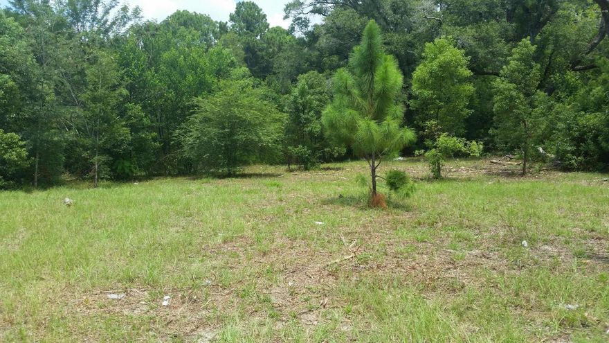Nice Building lot that can be for single family home or multiple home use. Lot next to this one on left is also available so make offer on both.