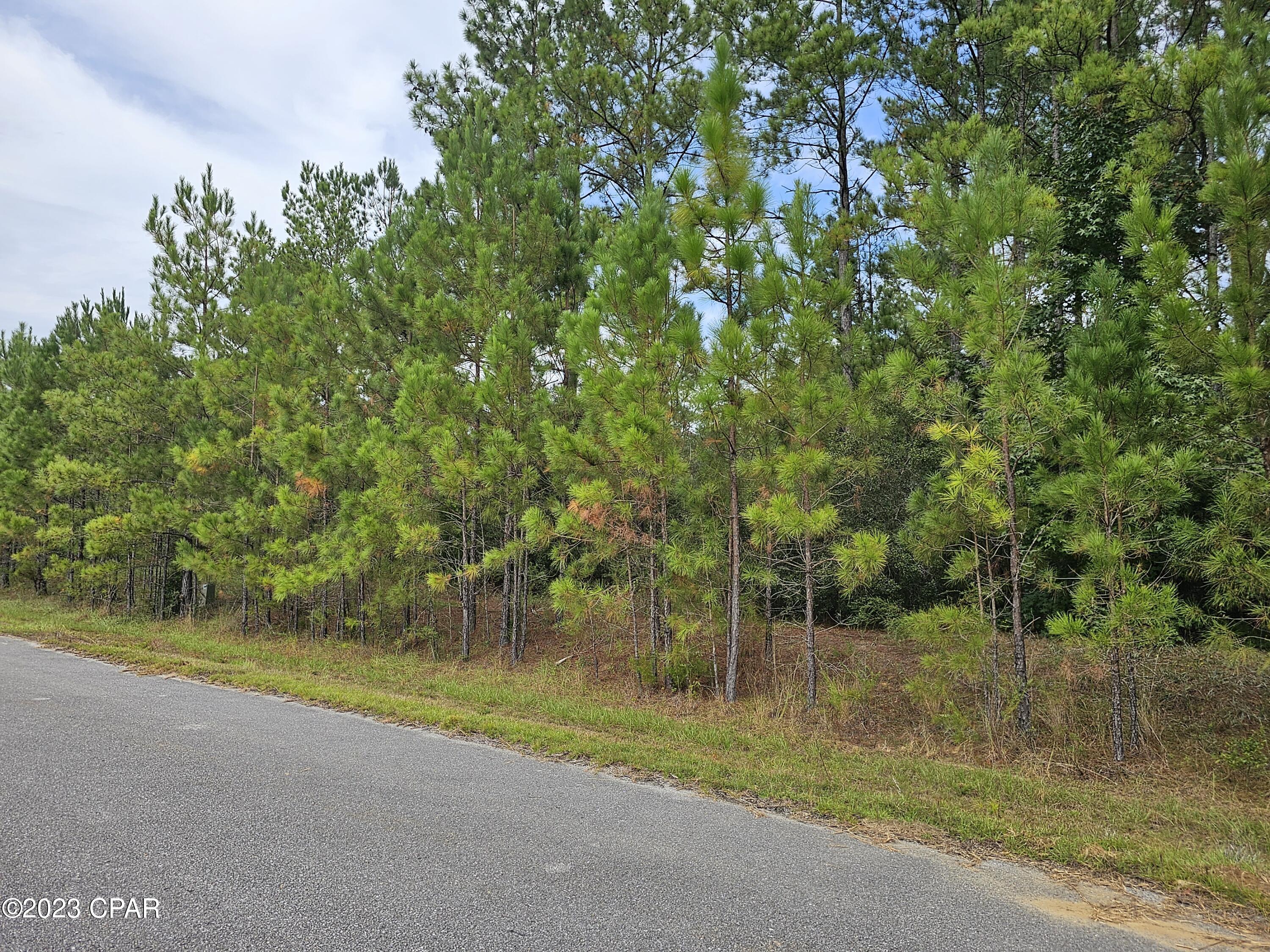 Kiersten Heights - Land