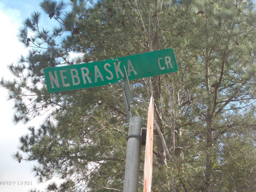 Vacant wooded lot just off of Hwy 167 very good building lot, just a short drive to Panama City beaches.   There is a voluntary 135. HOA fee to use the amenities of the subdivision.