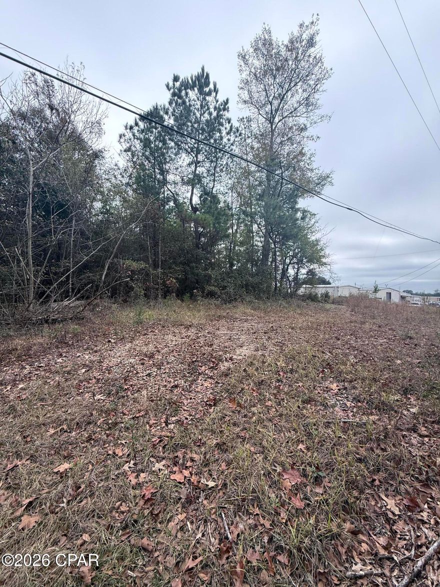 3 plus acres of commercial land next to the electric company's office in Sneads, Fl. Quiet location=low price and room to grow. It is an ideal location for storage units, warehouse or service business, or utility or industrial use.
