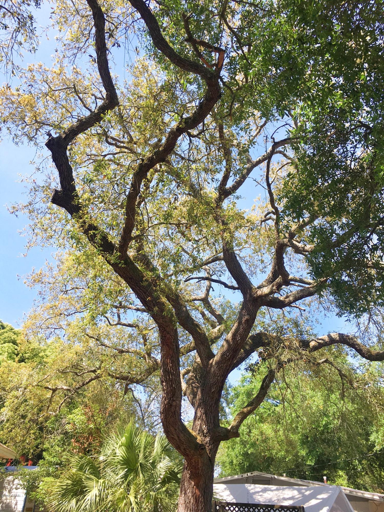 Hursts Replat - Residential