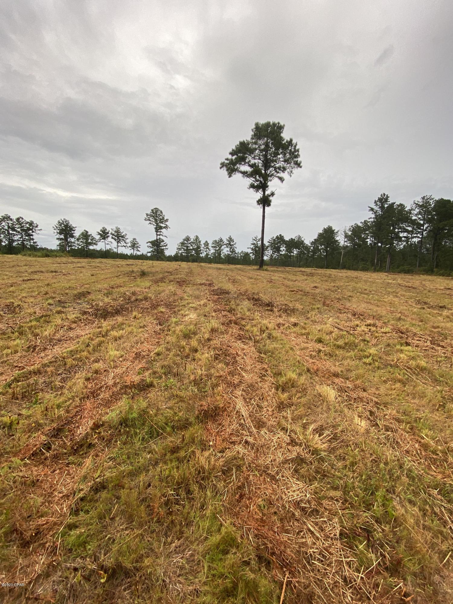 No Named Subdivision - Land