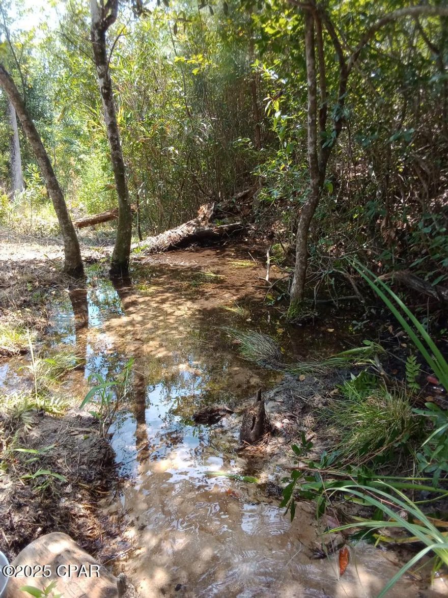 There is a spring fed creek that starts on the Broom parcel and runs the length of the Hibiscus parcel.

Enjoy the valley views and discover a rare opportunity with these two adjoining one-acre parcels of land, perfectly situated in a quiet and peaceful area on Hibiscus Street and Broom Street. Both parcels share a back boundary, creating an expansive two-acre retreat surrounded by natural beauty and tranquility. The roads are maintained by the county.

Residents enjoy the benefits of a voluntary Homeowners Association for just $135 annually. Membership grants exclusive access to the stunning Compass Lake, perfect for boating and fishing, as well as a community pool, clubhouse, rental cabins, and additional amenities. Whether you are seeking outdoor adventure or quiet leisure, this community has something for everyone. 

These two parcels present an exceptional opportunity for those seeking privacy, natural beauty, and access to outstanding recreational amenities. With unique water features and a welcoming community, this property is ideal for building your dream home, vacation retreat, or investment. Doublewides are approved.