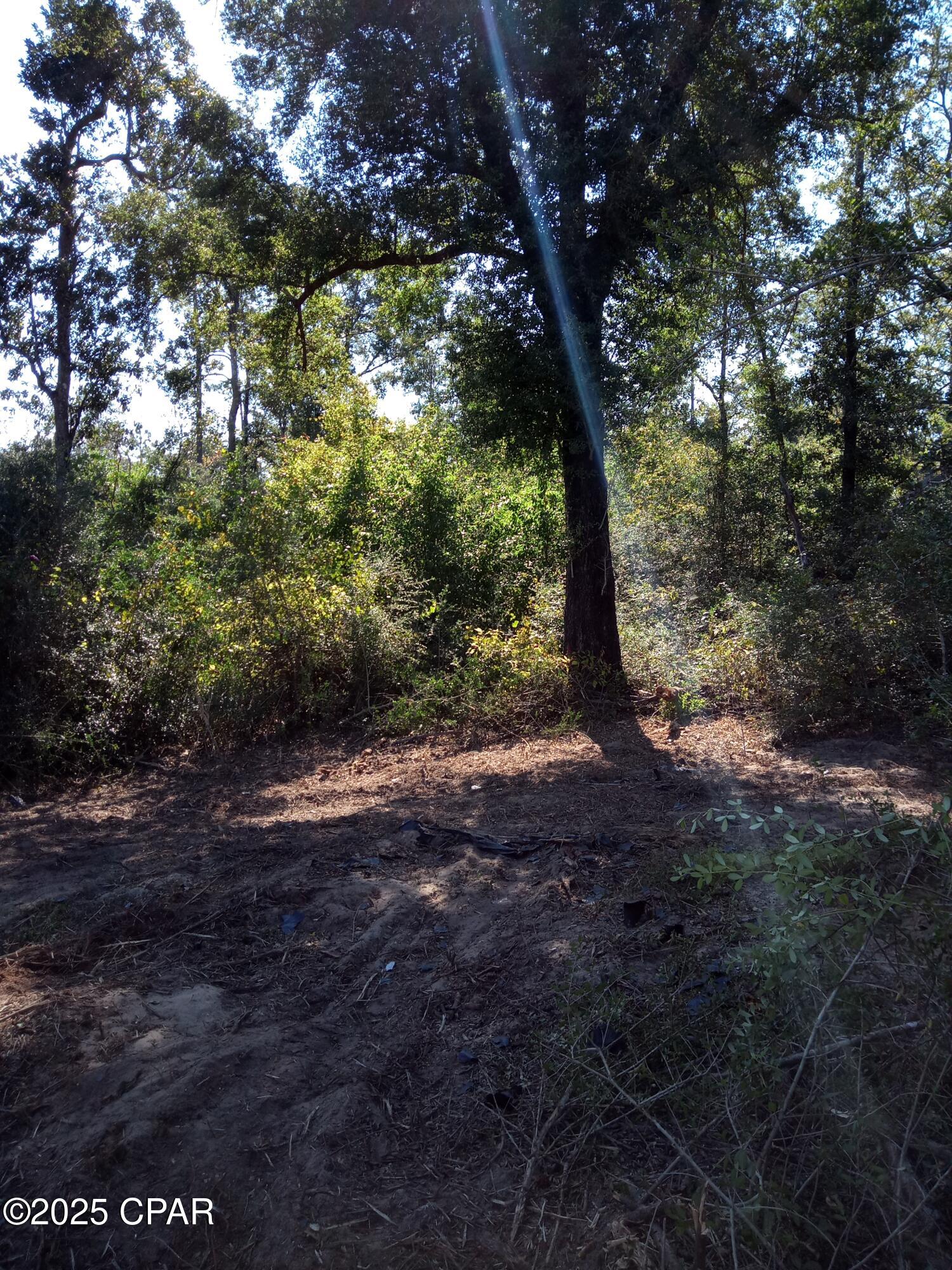 Compass Lake Hills Unit 3 - Land