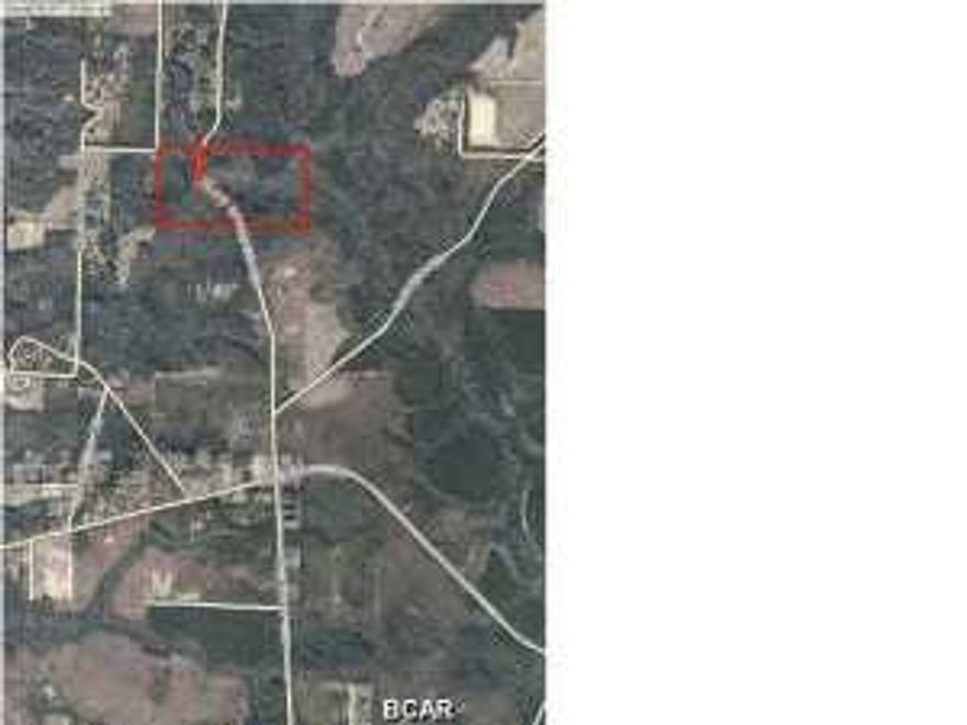 Creek front woods on paved road north of Hwy 388 East. 80 acres total split into two 40 acre parcels located on each side of Blue Springs Road withMoccosin Creek running through both and down to Econfina Creek