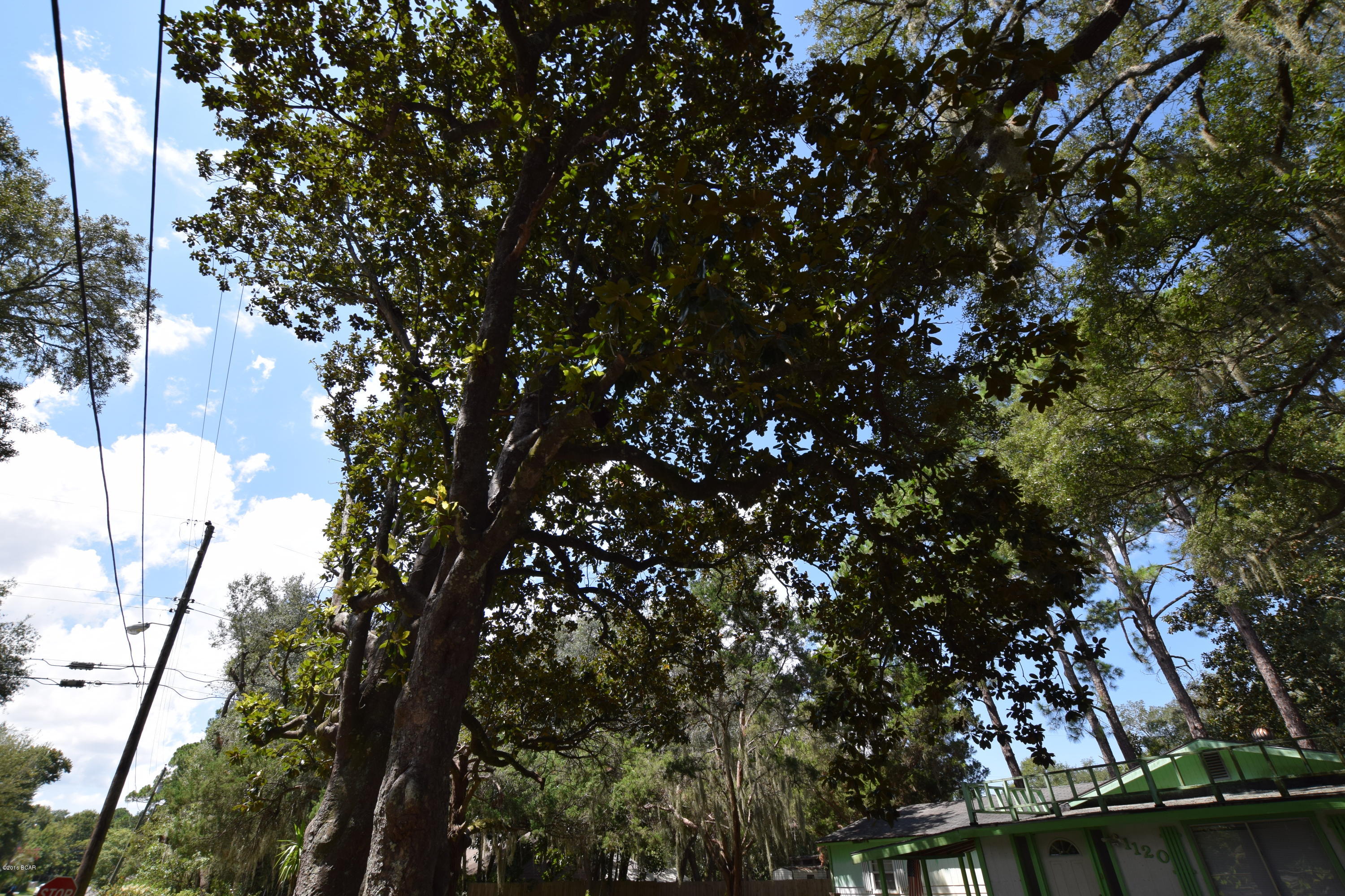 Lynn Haven - Residential