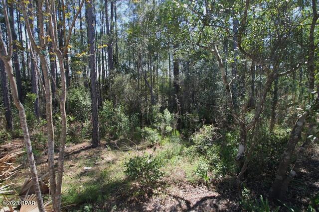 Marina Village Ph 1 - Residential