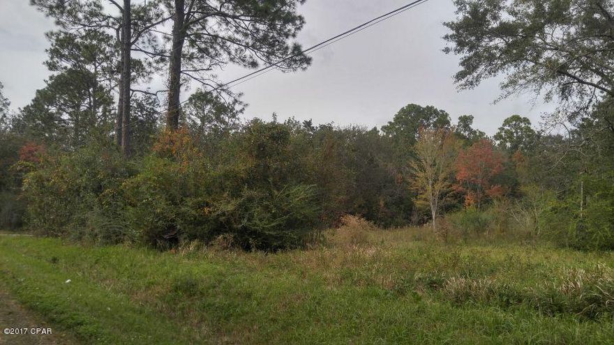 Beautiful 3.24 acre property with lots of privacy at the end of a road. Property borders a creek to the west and includes two hookups for electric.  Unverified deep water well and septic on site.  Zoned for multi-family use, could put two mobile homes on land.