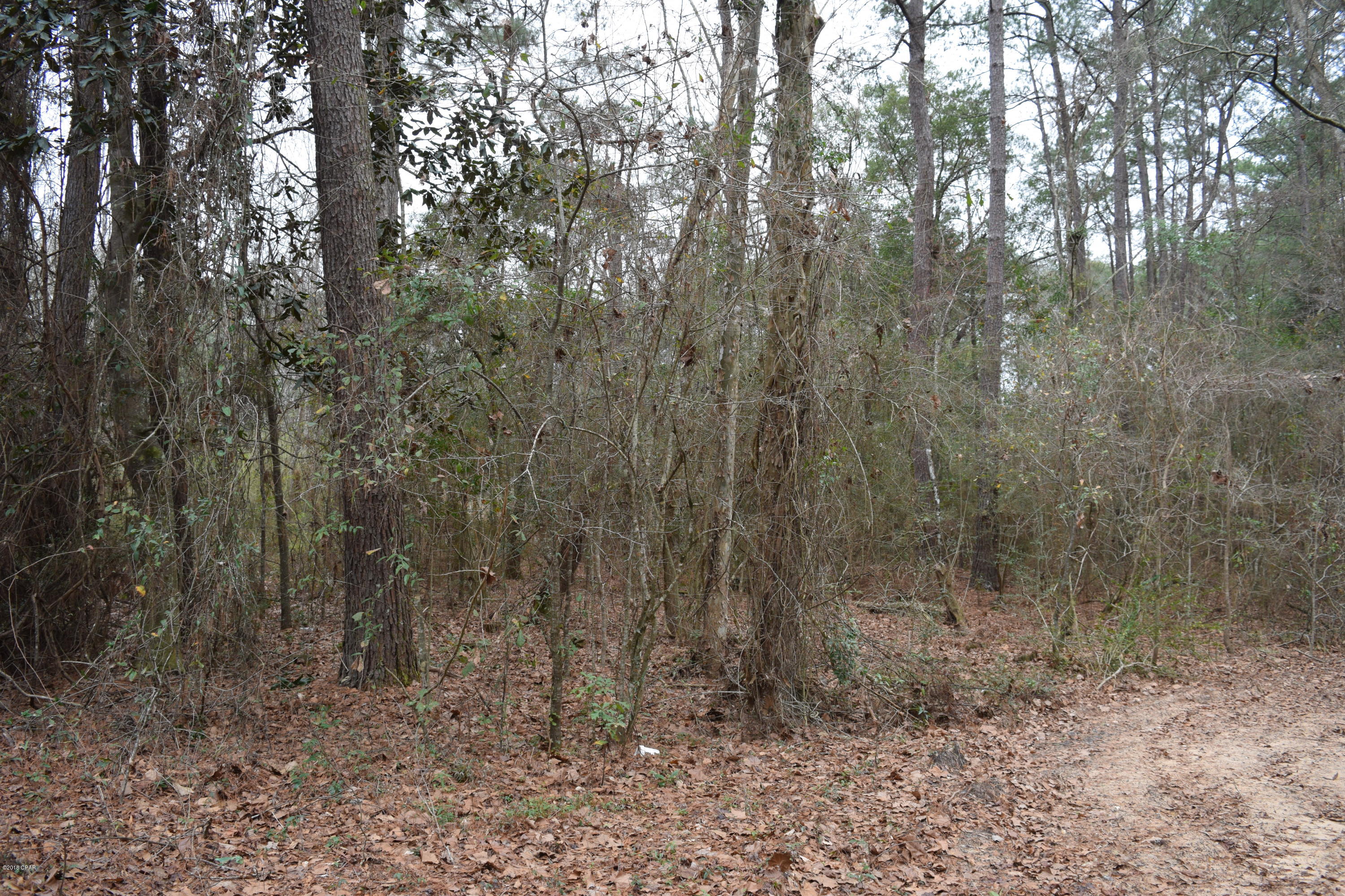 No Named Subdivision - Land