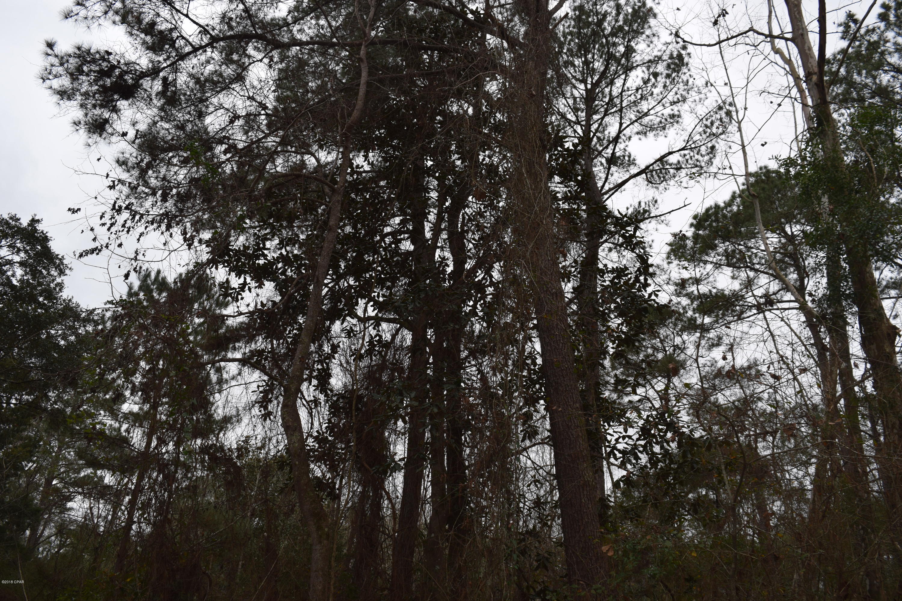 No Named Subdivision - Land