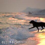 Magnolia Bay Club - Residential