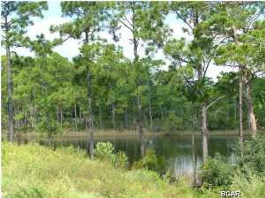 One of the last available building opportunities on Lake Powell in Turtle Cove . Exceptionally designed neighborhood on the lake with great amenities. Lot is LAKE-FRONT. . Welcome to TURTLE COVE AT LAKE POWELL! This community is located on beautiful Lake Powell, adjacent to the Wild Heron development and Sharks Tooth Golf Course. Enjoy tennis courts, pool, lake pier and community center. Your home at Turtle Cove will be just minutes away from 30 A -the beach, Pier Park retail center (including a 16 plex theatre), restaurants, boating and the connecting highway to the new airport! Overall a great location offering both serenity within a planned community and easy access to multiple venues as desired!