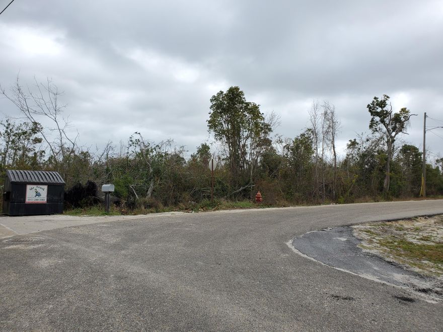 Raw vacant wooded parcel almost 1/2 acre within close proximity to Wal-Mart, restaurants, etc.  Probate is complete.  Priced for clean quick cash sale