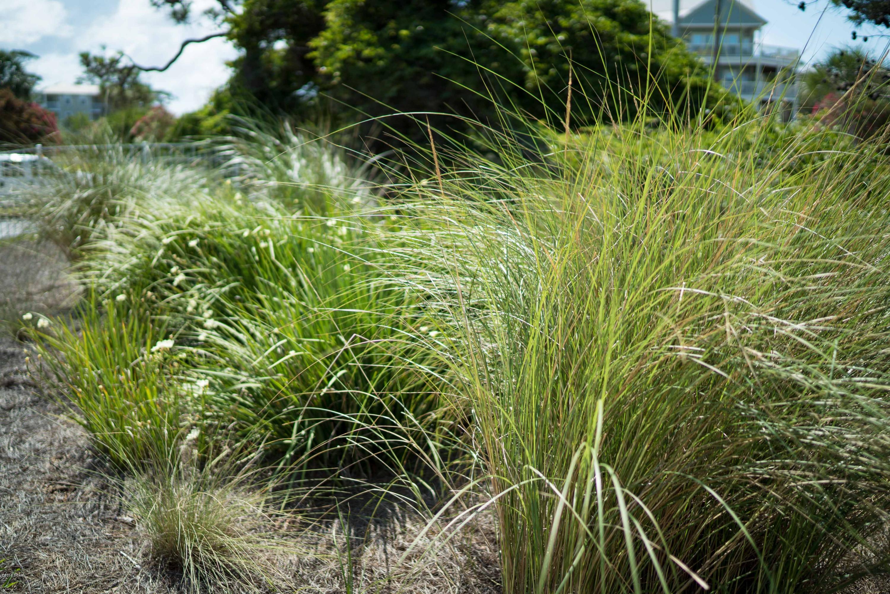 Cloister Dunes - Residential