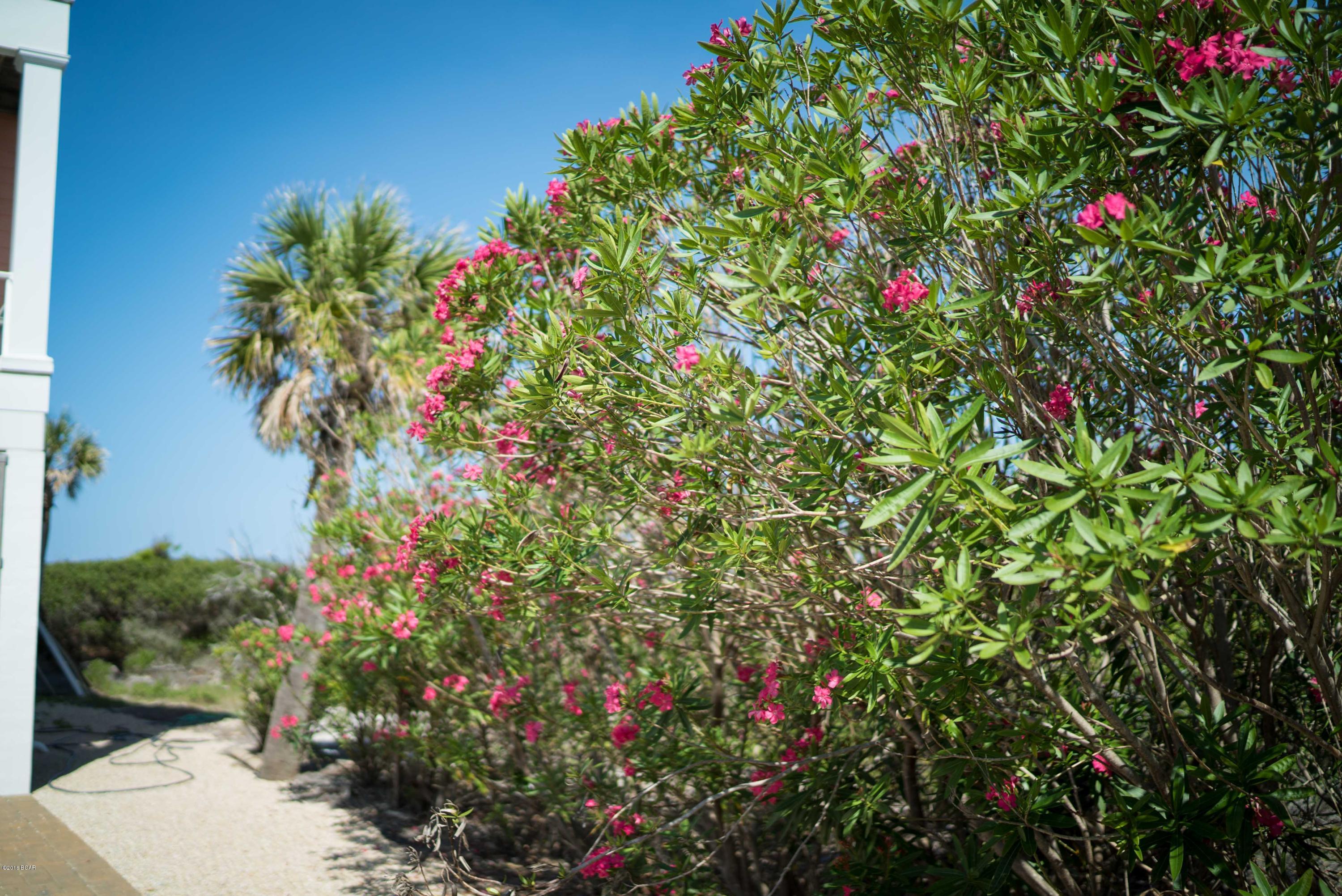 Cloister Dunes - Residential
