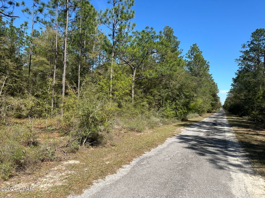 2 one acre lots to be sold either together or individually. price is for one lot.  Lots 158 & 159 . Imagine living the leisure and peaceful lifestyle in a gated community surrounded by lakes with a community pavilion that features a pool picnic tables, and tennis courts as well as 2 great fishing lakes with boat ramps. This serene peaceful setting away from the city life is perfect for building your dream home but yet still close to everything including only a short 45 min drive to the world's most beautiful beaches. Underground utilities are already set up on property. This is the perfect opportunity to invest in the up-and-coming area.
Agent to Agent Remarks: