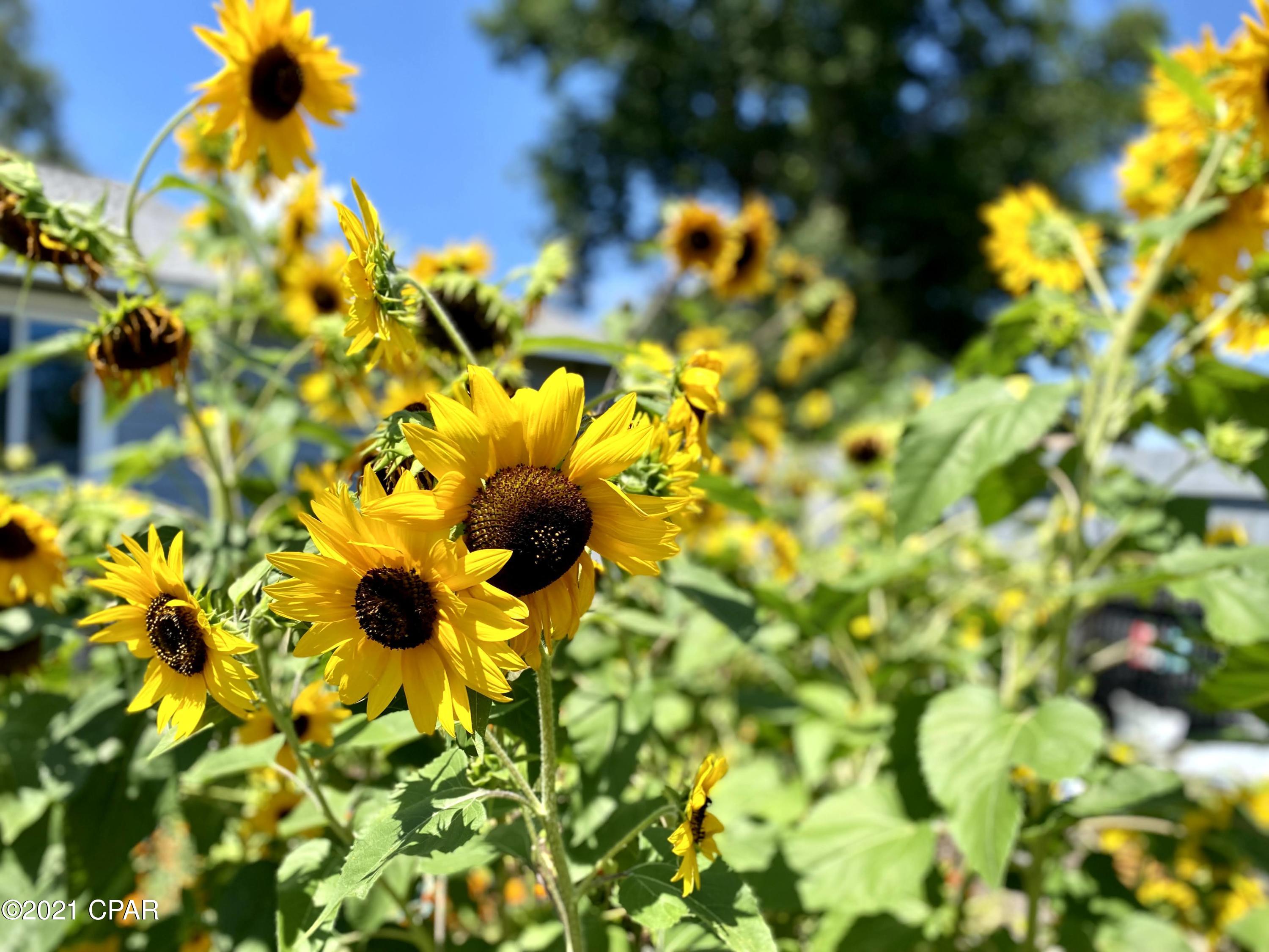 Kings Point Harbour Unit 2 - Residential