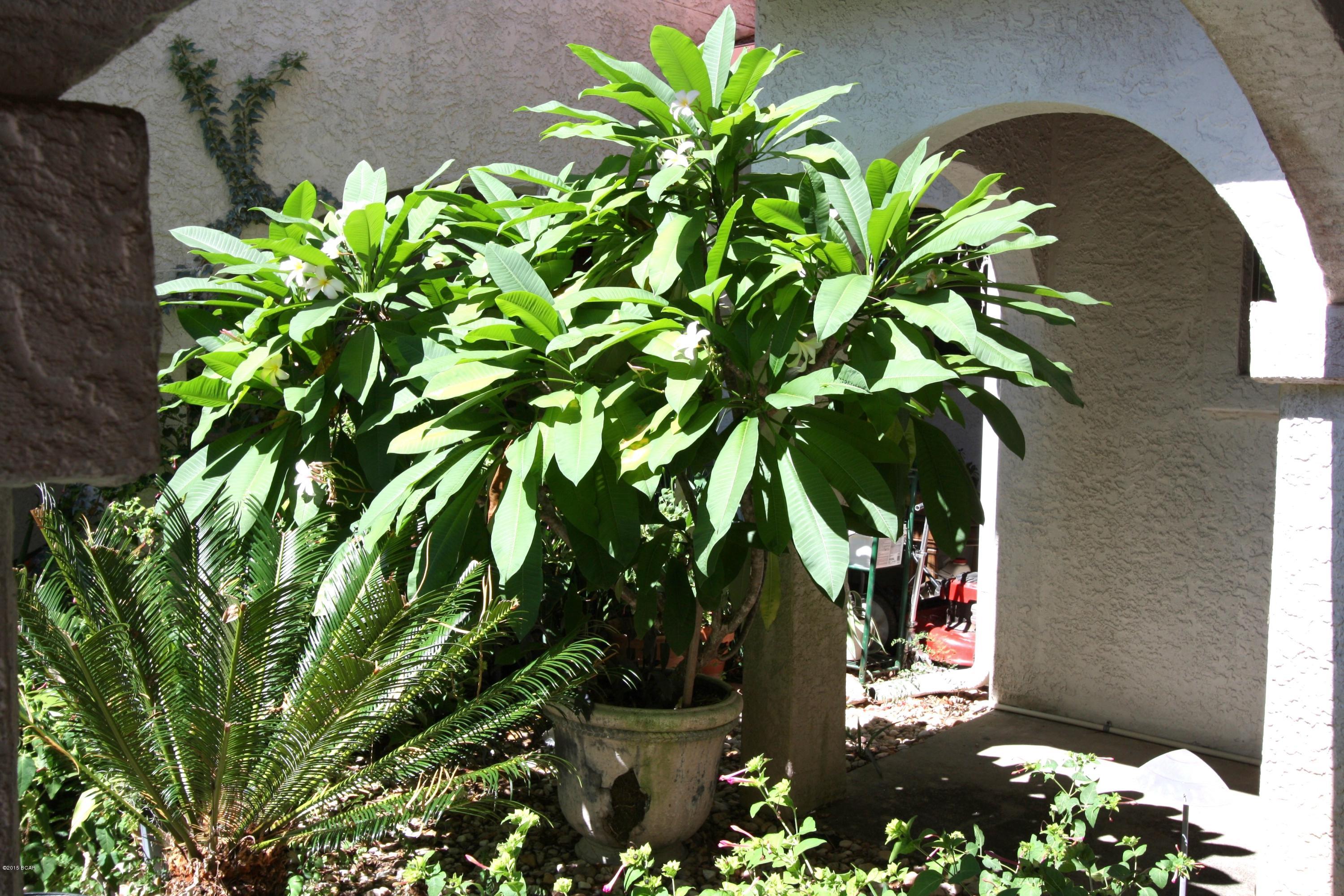 Callaway Forest U-2 - Residential