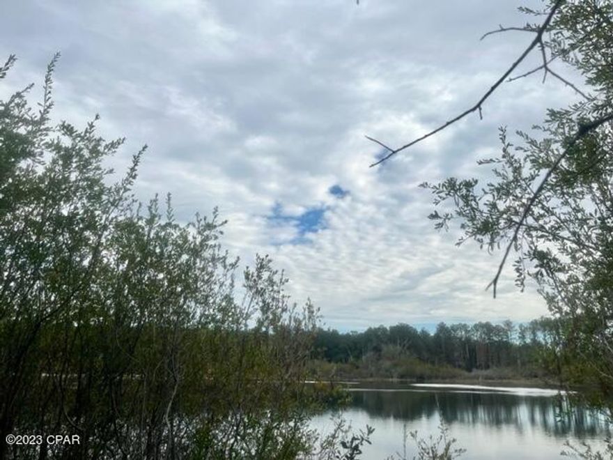 Great opportunity to own a WATERFRONT LOT on Payne Lake!!!! Located in the southern portion of Washington County, this lot is a great choice for those wanting to build their dream home close to the beaches and the international airport, which are only a short drive away.  The current owner has already began the initial process of preparing the lot for your dream home.  The property has been surveyed, a 911 address has been established, a septic tank installed and the electric company has set up a power pedestal with wiring for underground power. Seller is including the cinder blocks with the purchase, and a concrete footer has already been poured for an RV pad.   Now's your chance to grab this beautiful waterfront lot!!!