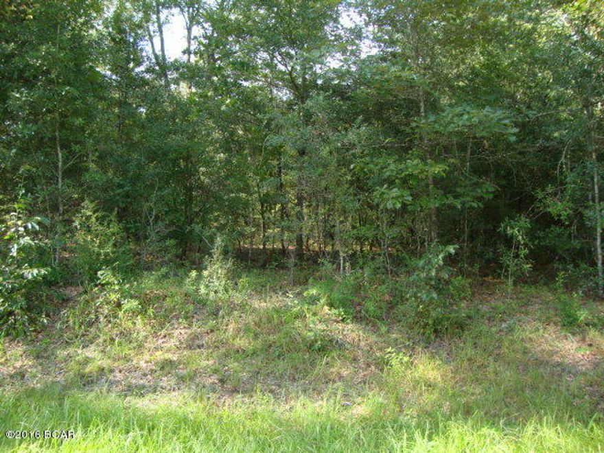 42.9 Acres land. Wooded with hardwoods and few pines. About 1/4 mile frontage on paved road and about 1/4 mile frontage on I-10. Just out of the city limits of small rural town of Bonifay, Florida. Small stream runs across. Several possible home-sites. Great investment for the future and lots of Interstate frontage for possible billboard sites. Great investment for the future.