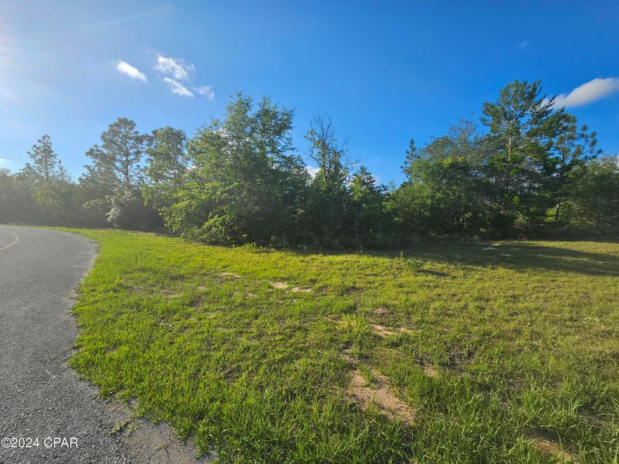 MOTIVATED SELLER! BRING ALL OFFERS! Fantastic LARGE build-able lot on 0.4 acres in HOT Sunny Hills! Decently paved road, better than most. Also in Unit 19, one of the most desirable units in SH. Get in while the getting's still great! I'm told this lot has public water available. Sunny Hills is growing and values will continue to go up. I don't believe you can get land as cheap anywhere else in the country. Hwy 77 is nearly finished being 4-laned from I-10 to PC. You're 30 min. from the air port, 20 from Chipley, near so many fishing lakes, ponds, and recreational springs. Right here in SH, we have a popular golf course, skate park, and Boat Lake Swimming & Recreation park.You'll be 40 minutes from Pier Park in PCB, not to mention the beautiful white sand beaches and emerald green waters of the Gulf. Drive by and call your favorite Realtor to make an offer Right Now! ** NOTE: Seller has two other very nearby great lots also for sale. See MLS #757406 and #757408.