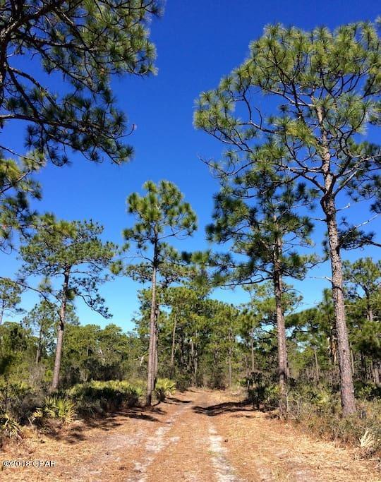 Cypress Breeze Plantation Ph III - Land