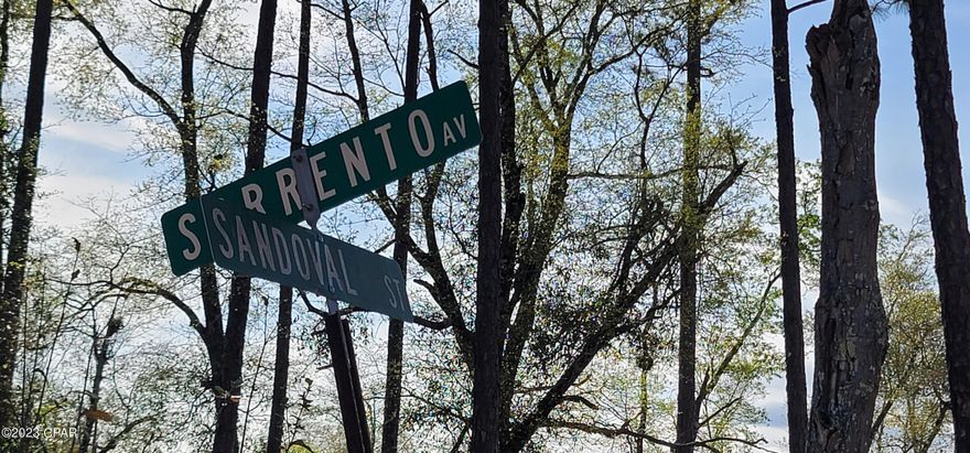 Manufactured homes are allowed.  Approximately 1 acre lot based on Jackson County Property Appraisers scale. Property needs clearing, well and septic.  The location is great with easy access to the south to Panama City on the coast and north to Marianna for shopping. Compass Lake Hills is away from the hustle and bustle where you can enjoy lots of beautiful wildlife and birds. You have access to 2 lakes here. For a $135 fee (non mandatory) you can enjoy great amenities that include clubhouse facilities, golf driving range, swimming pool access and more. Check out Compass Lake in the Hills website for more information.