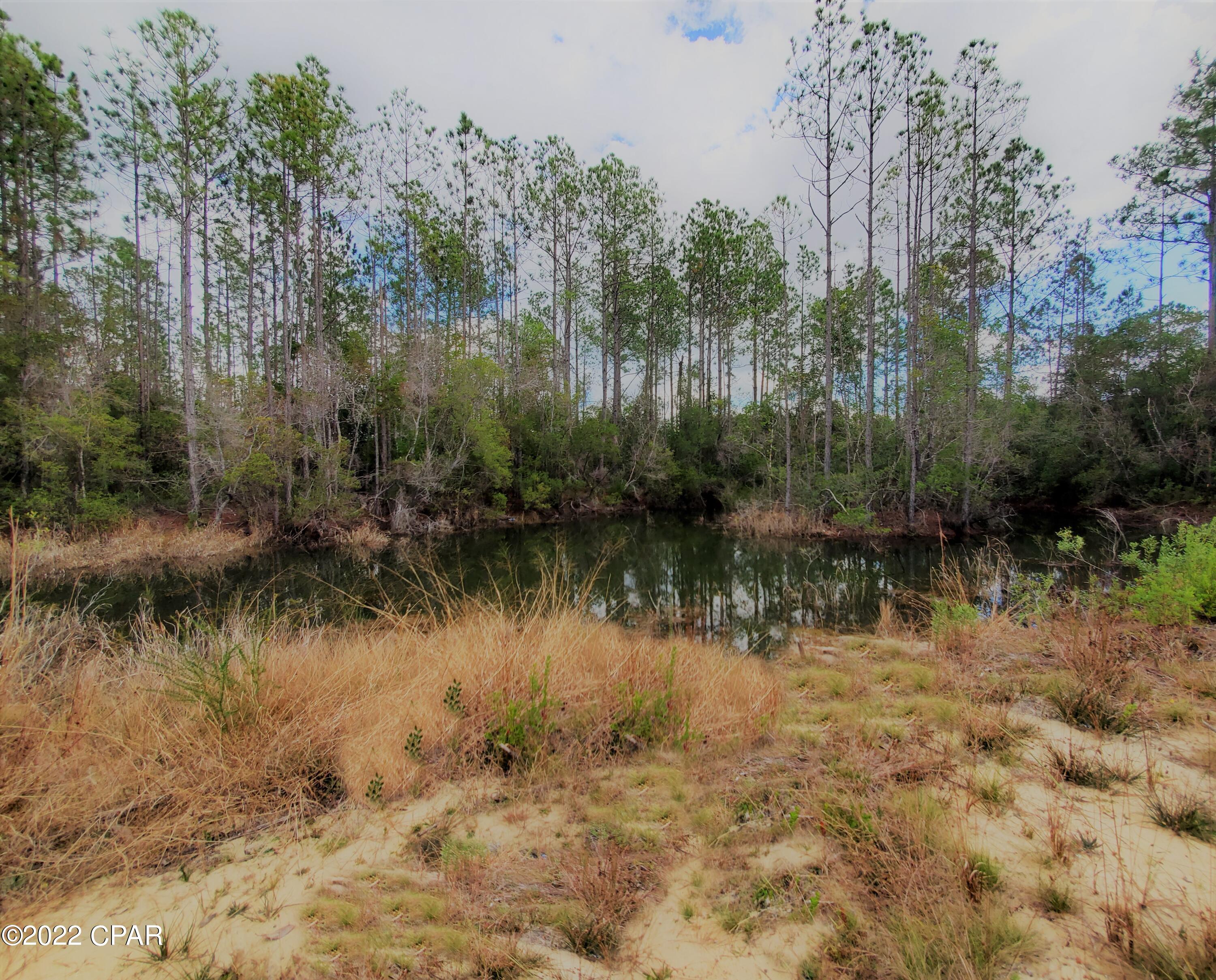 White Western - Residential
