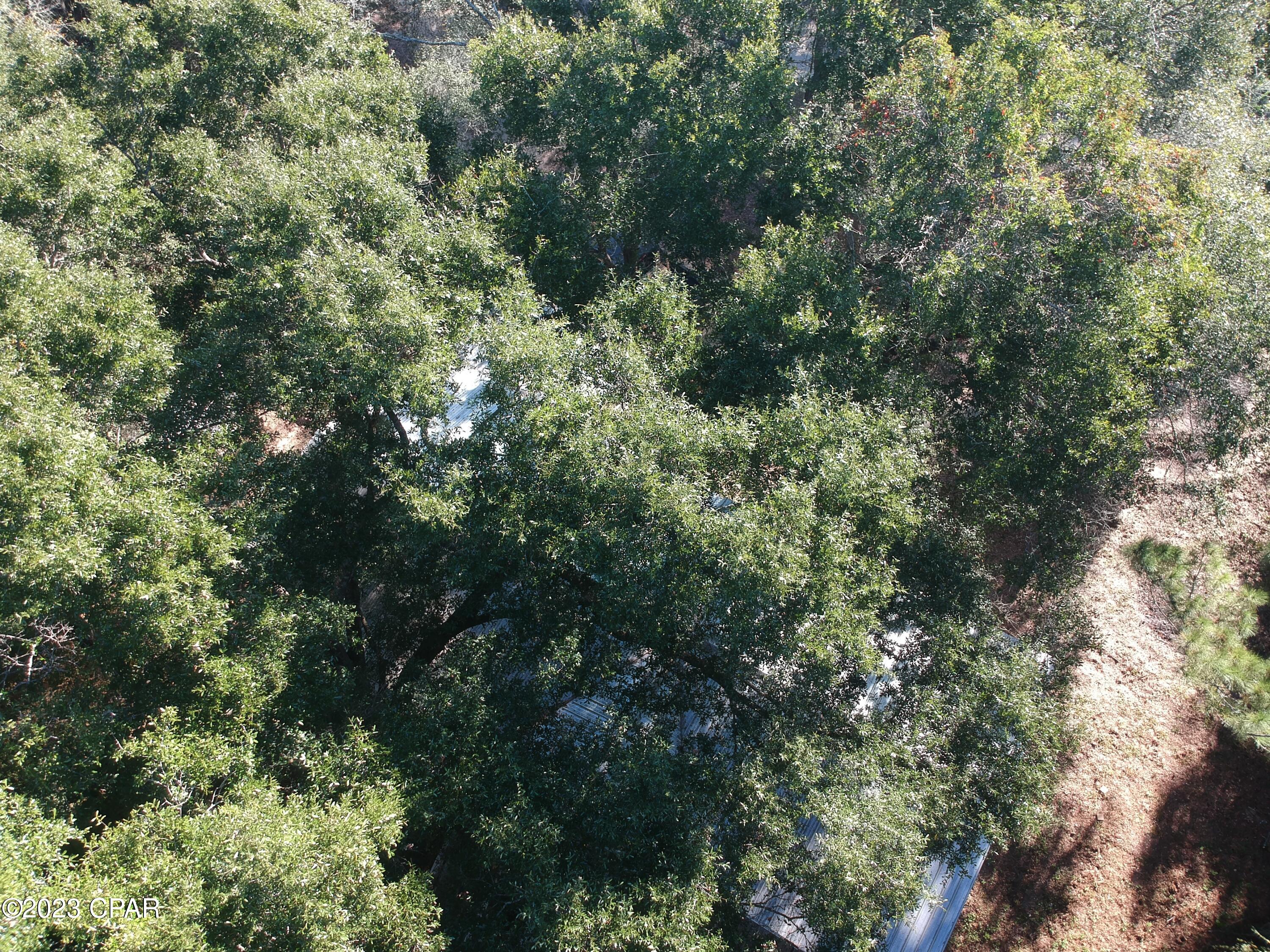 Joiner Acres - Residential