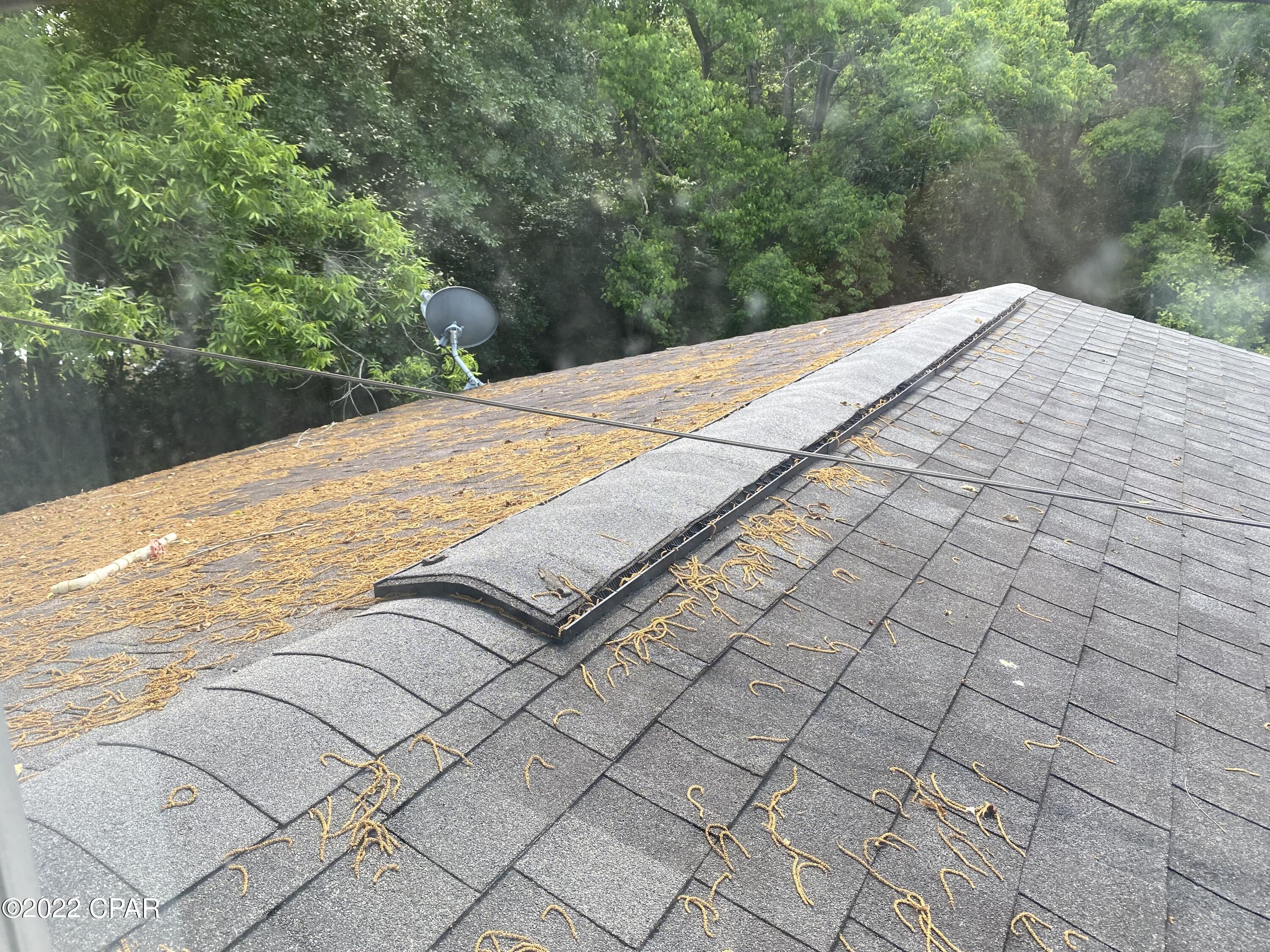 Pine Harbor - Residential