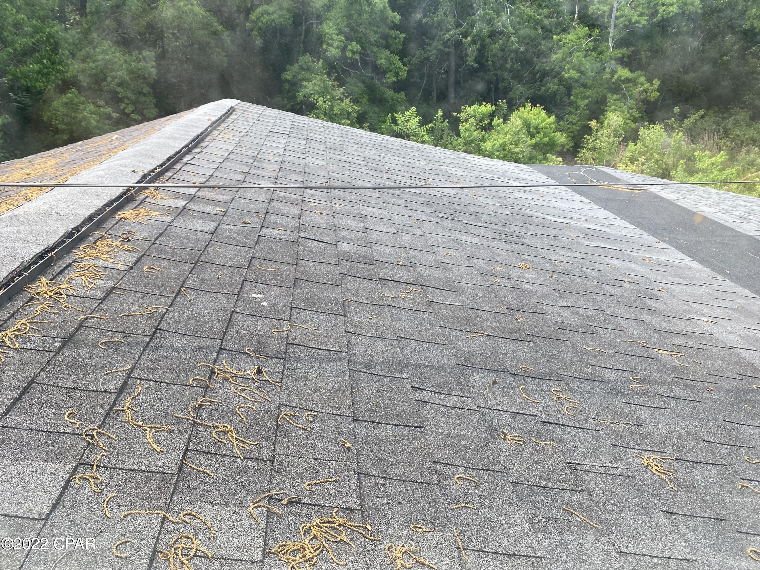 Pine Harbor - Residential