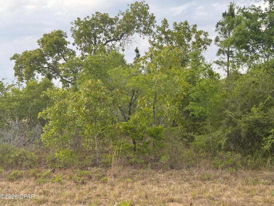 Nice building lot in south Washington County ,this lot is close to a popular swimming hole called White double pond, good fishing too. Property is 45 minutes to The Worlds Most Beautiful Beaches and  the Northwest Florida Beaches International Airport. Wooded lot  on a paved road.Call a realtor to get more information.