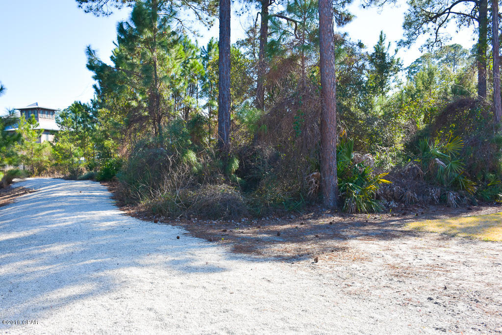 Martinique Phase II - Land