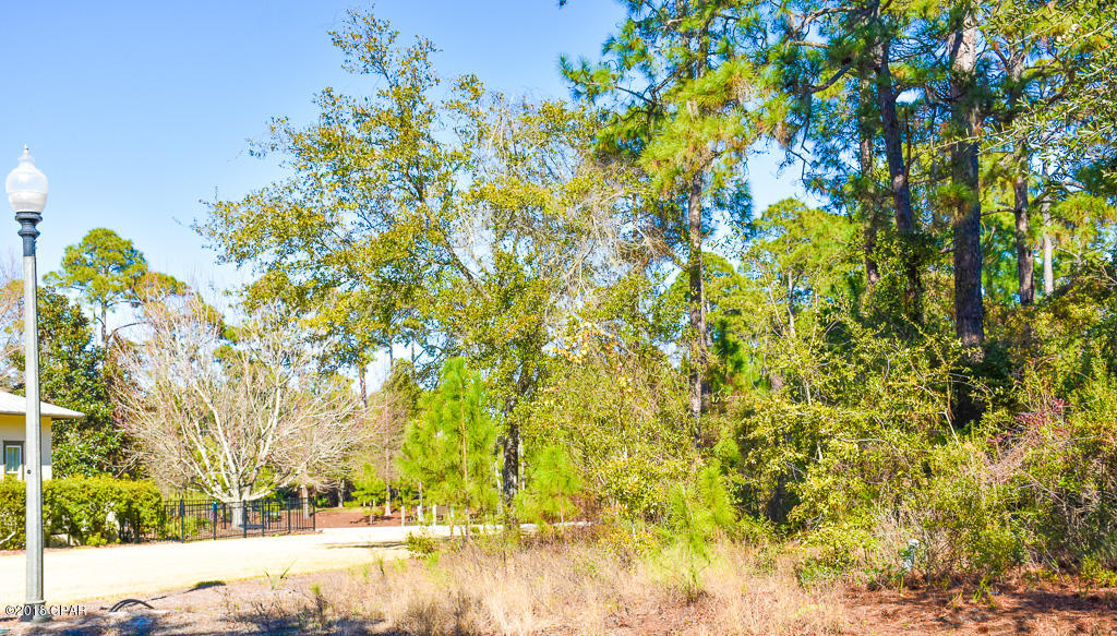 Martinique Phase II - Land