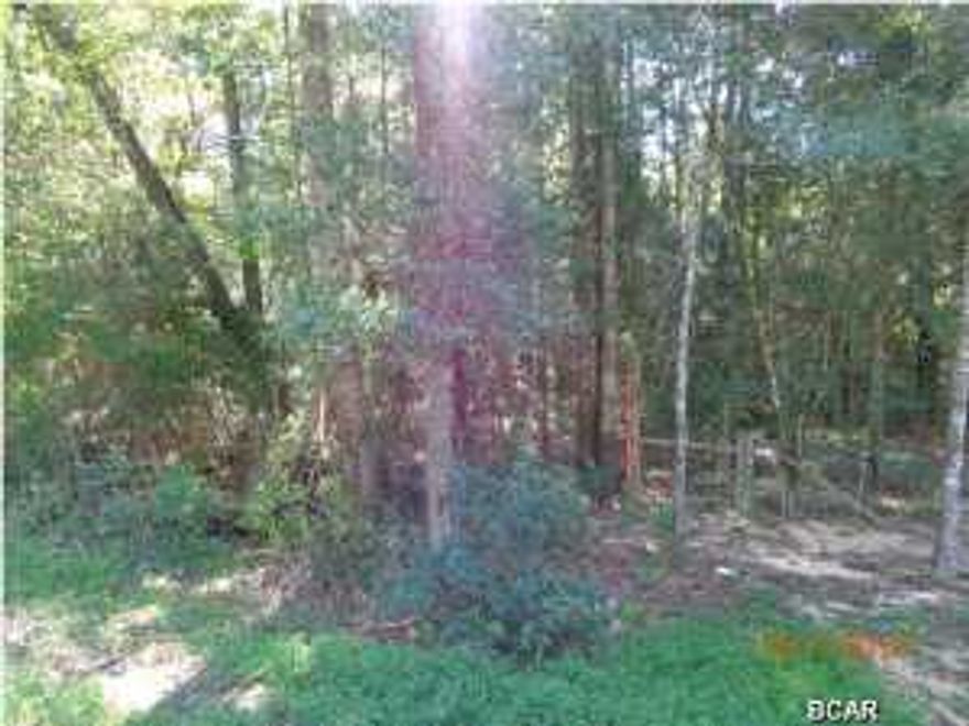 19 +- ACRES WOODED AND CLOSE TO RIVER AND HUNTING. LAND MOSTLY HIGH AND DRY. INFO FROM PROPERTY APPRAISOR, PLEASE VERIFY IF IMPORTANT. CALL FOR SHOWING