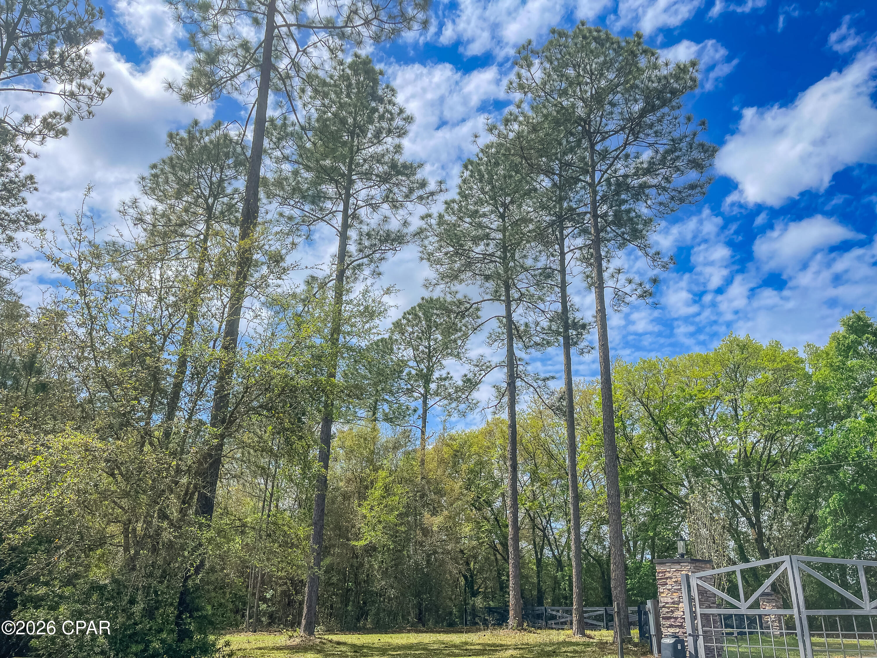 Cypress Crossing - Land