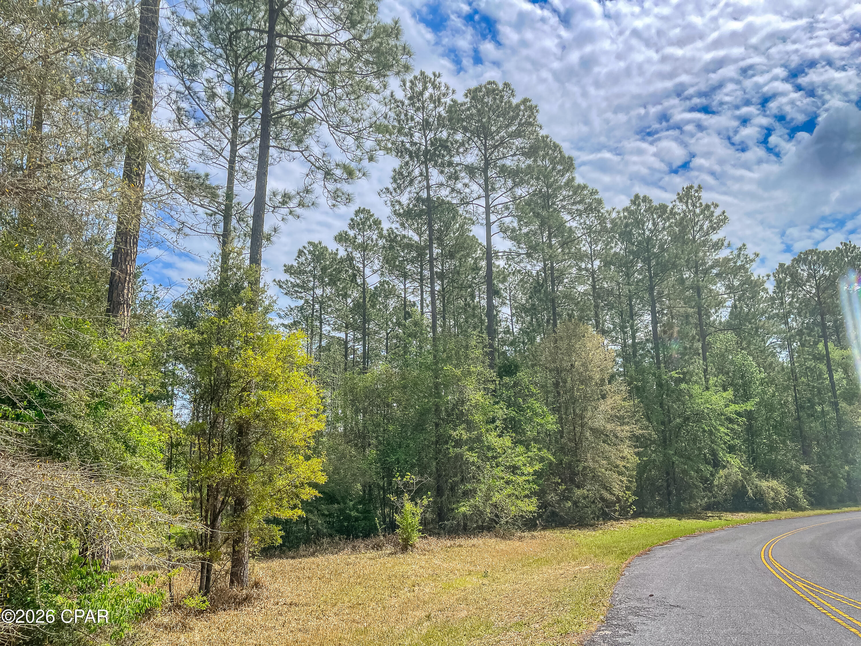 Cypress Crossing - Land