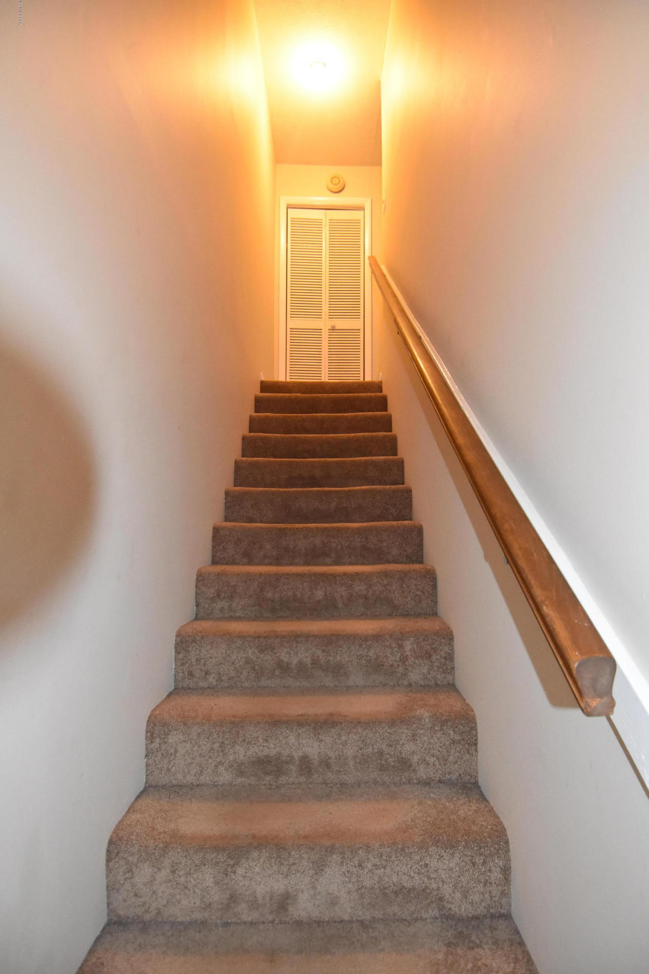 Venetian Villa - Residential