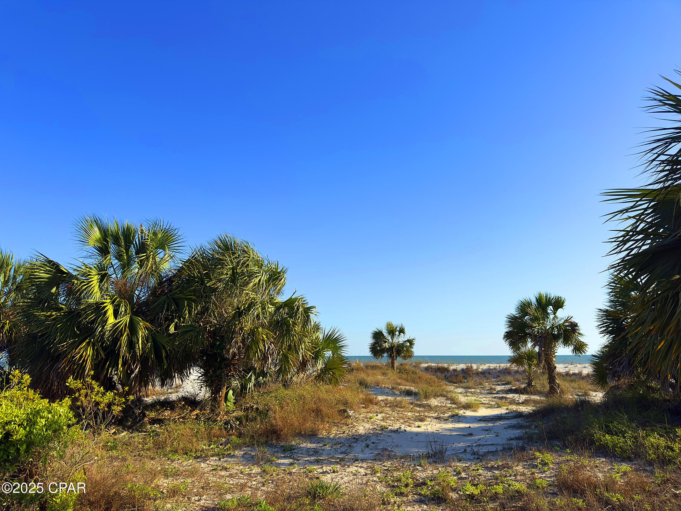 Camp Palms - Residential