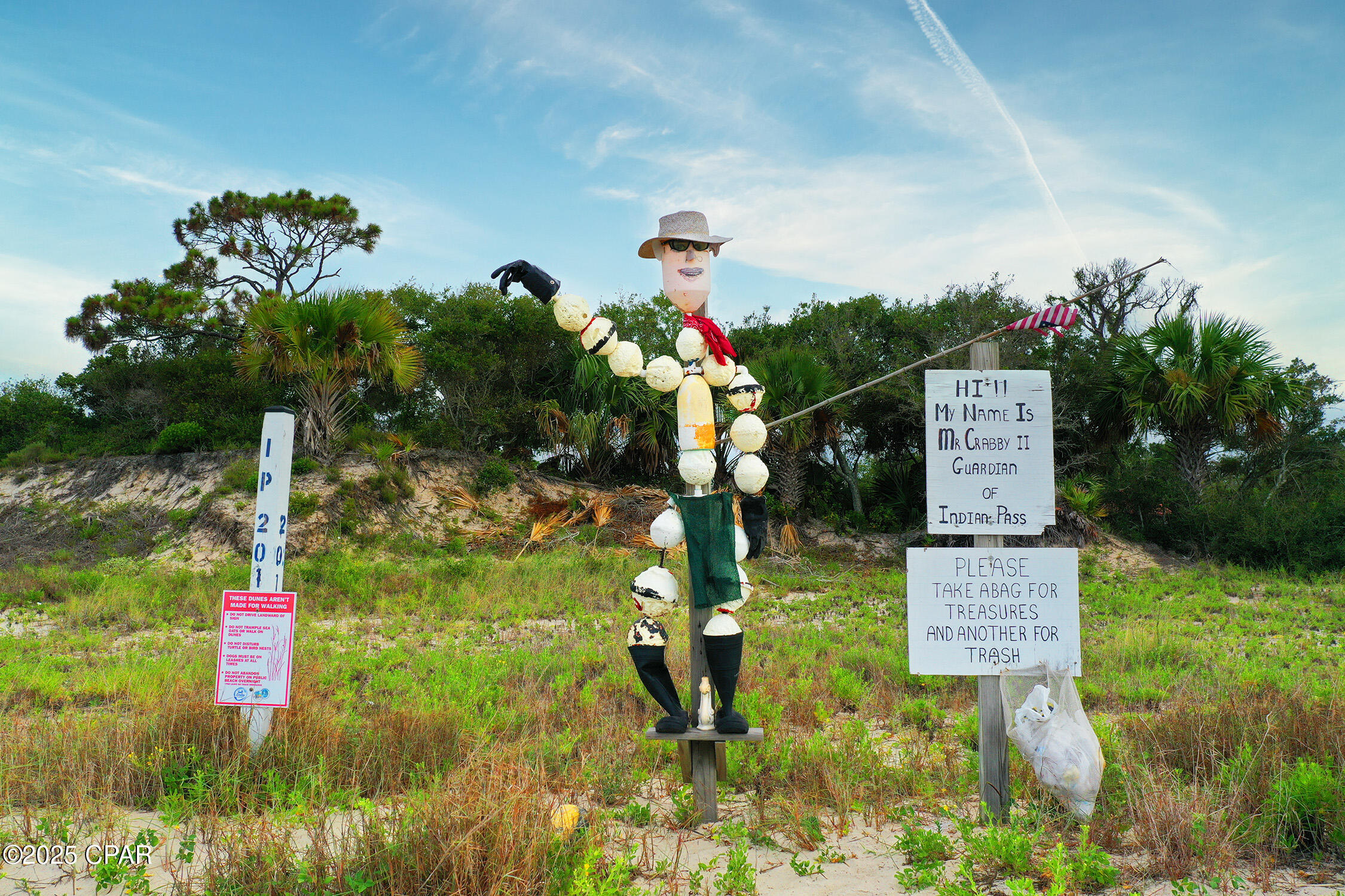 Camp Palms - Residential