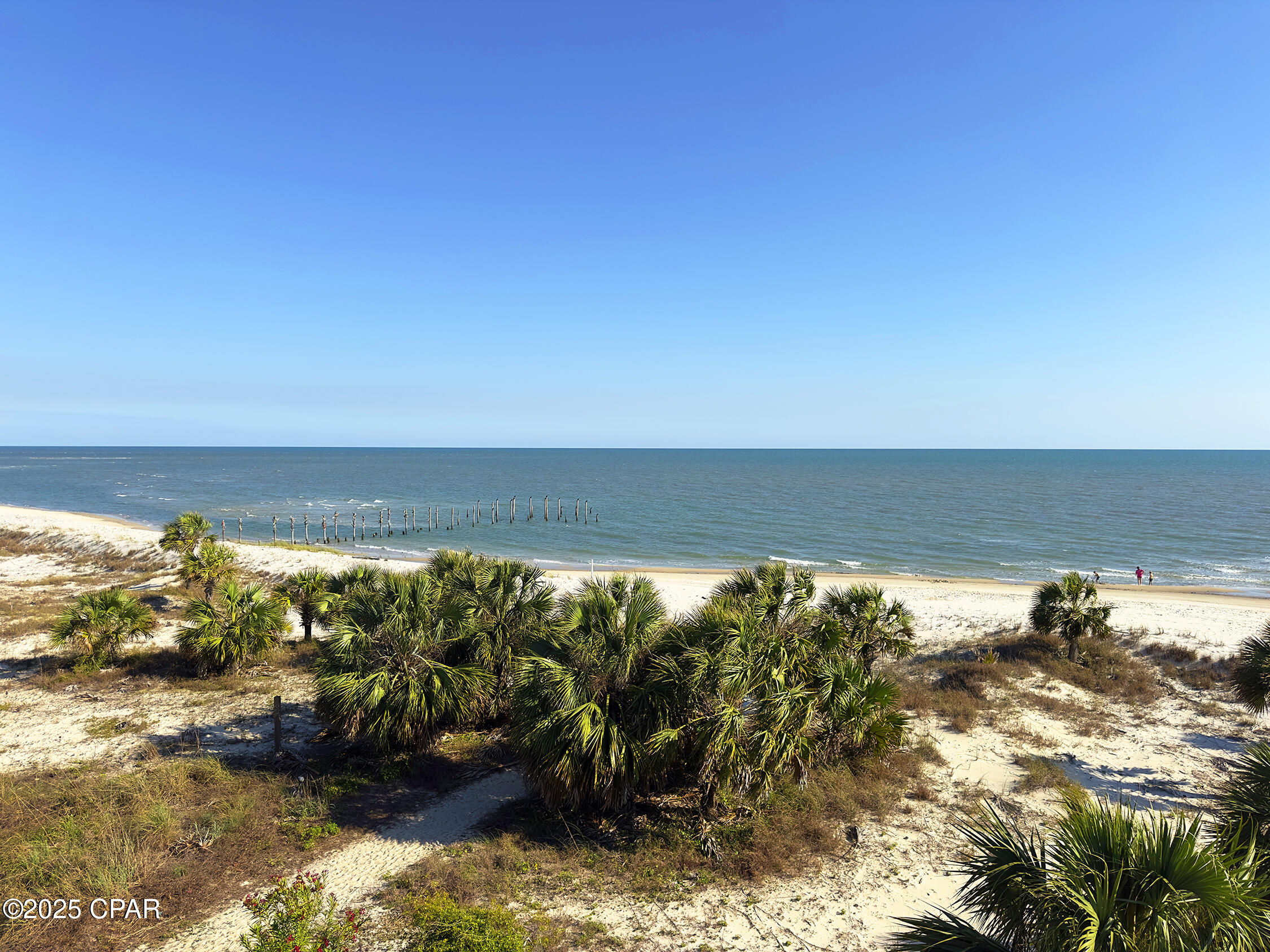 Camp Palms - Residential