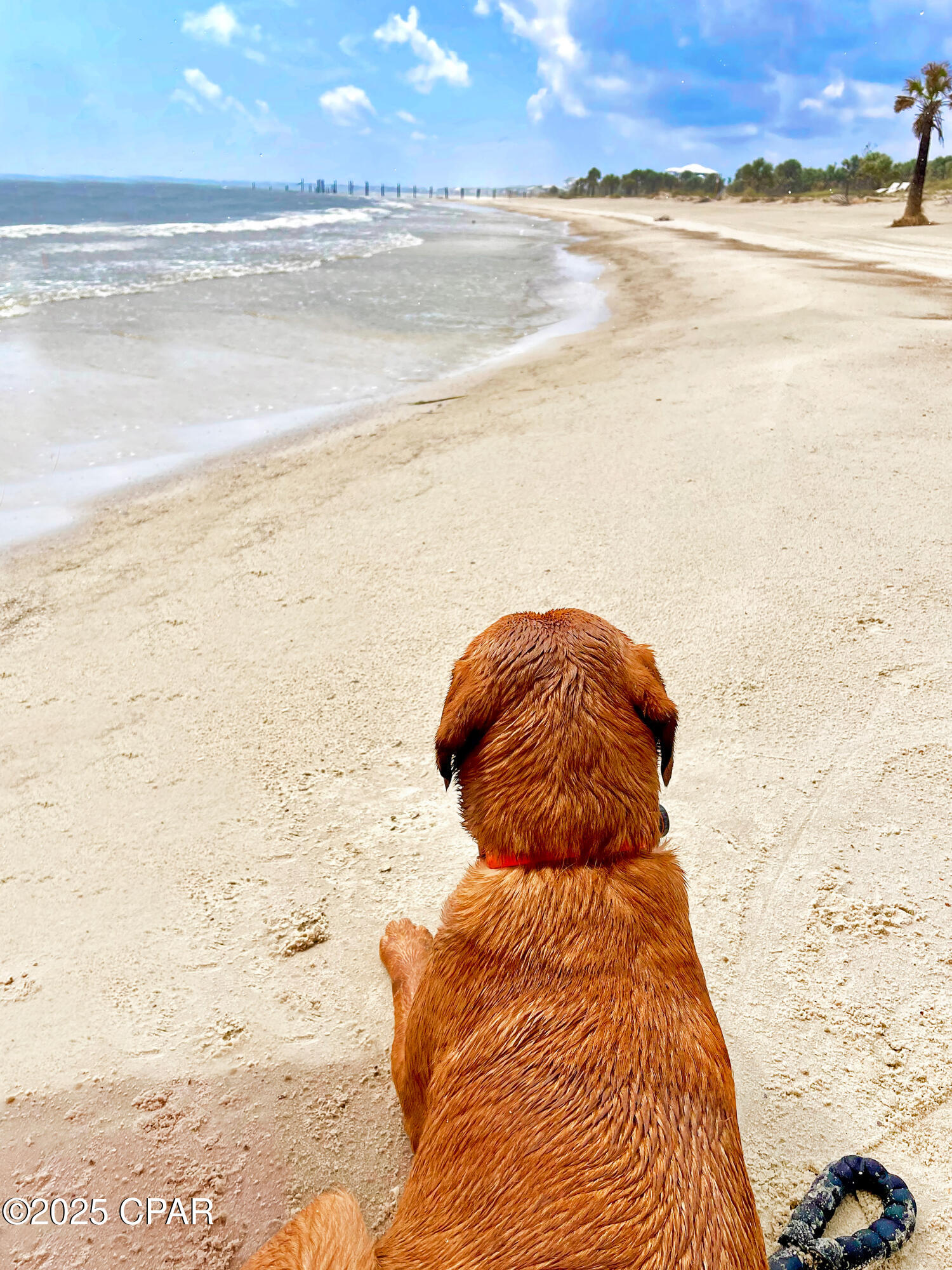 Camp Palms - Residential