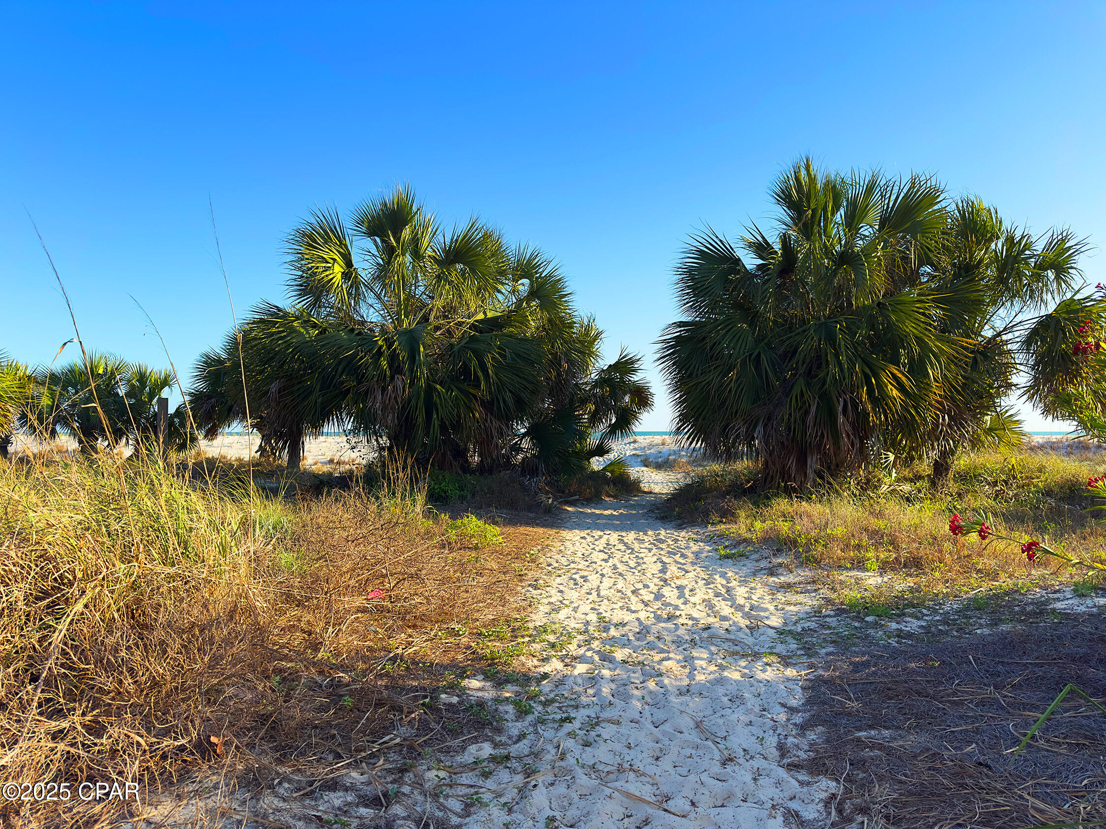 Camp Palms - Residential