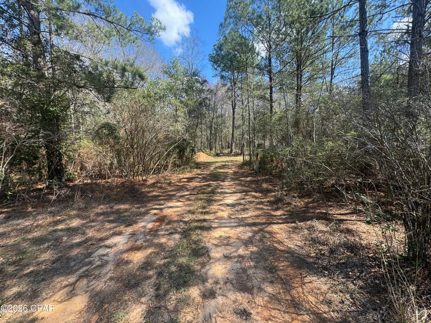 13+ acres of beautiful wooded land offering privacy, natural beauty, and endless possibilities.  Tucked just off the highway for convenient access while still feeling secluded, this property features a natural spring and  mature trees that create a peaceful, scenic setting.  Whether you're looking for the perfect spot to build your dream home, a private retreat, or a place to enjoy nature, this property offers the space and tranquility to make it your own.  Enjoy the charm of country living with the convenience of being just a short drive from town.