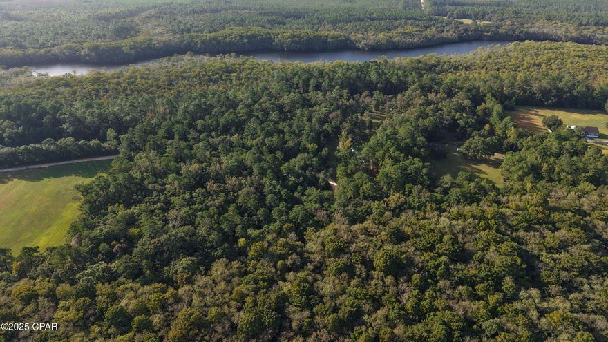 Tucked between a network of tributaries feeding the Choctawhatchee River and nestled within the backcountry of West Choctawhatchee Bay, exist this rare opportunity to own a small piece of unspoiled Florida wilderness. Ideally situated for a rural retreat, the property lies just north of Pine Log Creek; a stunning, dark tannin-stained waterway named for the route it carved through nearly 7,000 acres of state-protected land in Pine Log State Forest. In fact, access to the property typically leads you through the forest before arriving at a quiet dead-end road that terminates into additional state land and another nearby tributary known as the East River. The East River is located less than ½ mile to the west of the property while Pine Log Creek is situated at an estimated 400 feet to the south of the property. Needless to say, the entire area is teeming with wildlife, and of course fantastic fishing can be had within minutes from the land. A handful of neighboring parcels are used as weekend retreats or fish camps, with a few full-time residences scattered along the way. Power is available at the roadside. Give us a call today and don't miss your chance to claim a piece of Florida's wild and scenic outdoors.