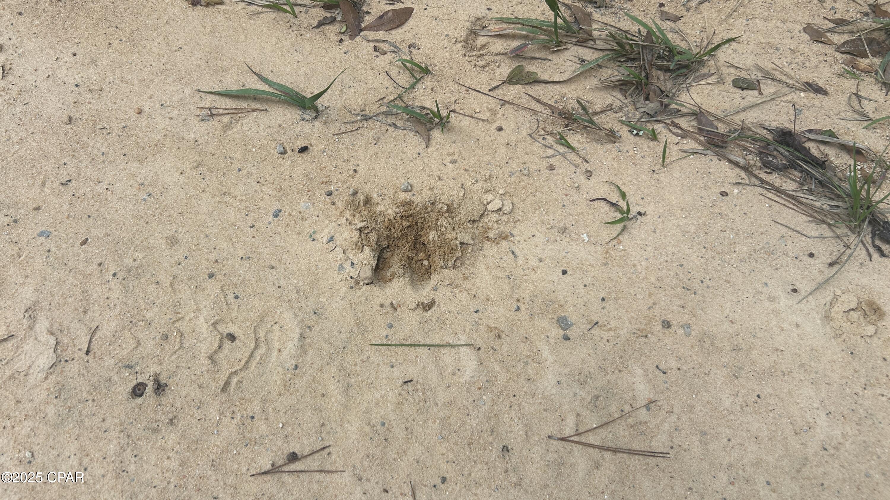 [No Recorded Subdiv] - Land