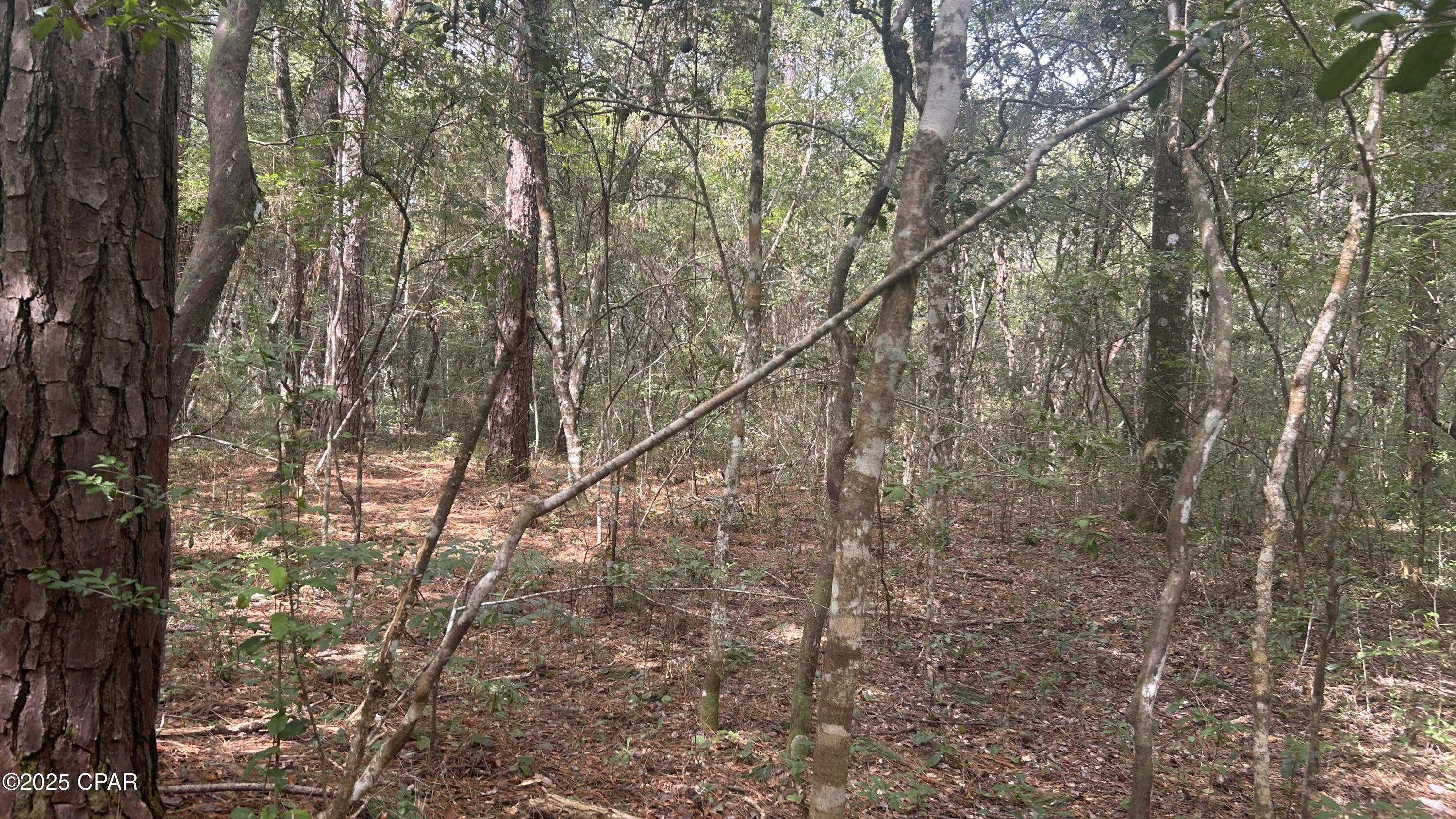 [No Recorded Subdiv] - Land