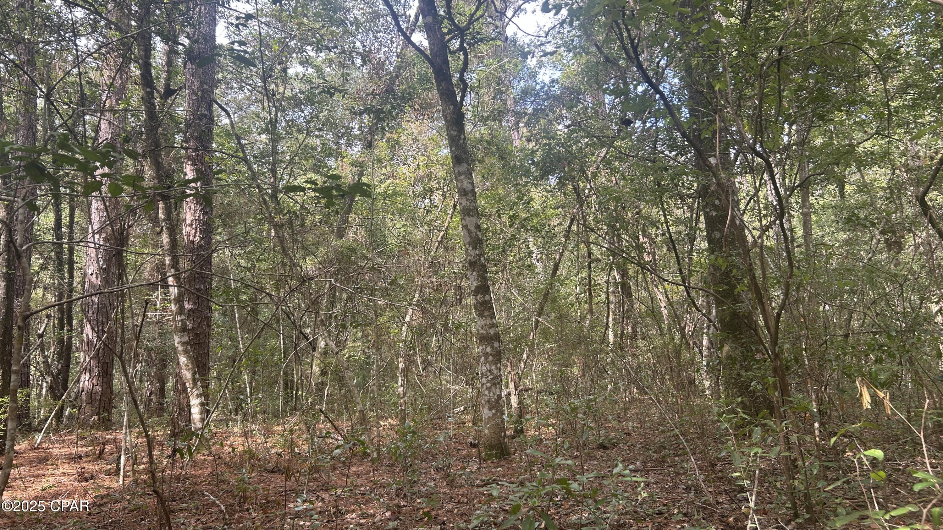 [No Recorded Subdiv] - Land