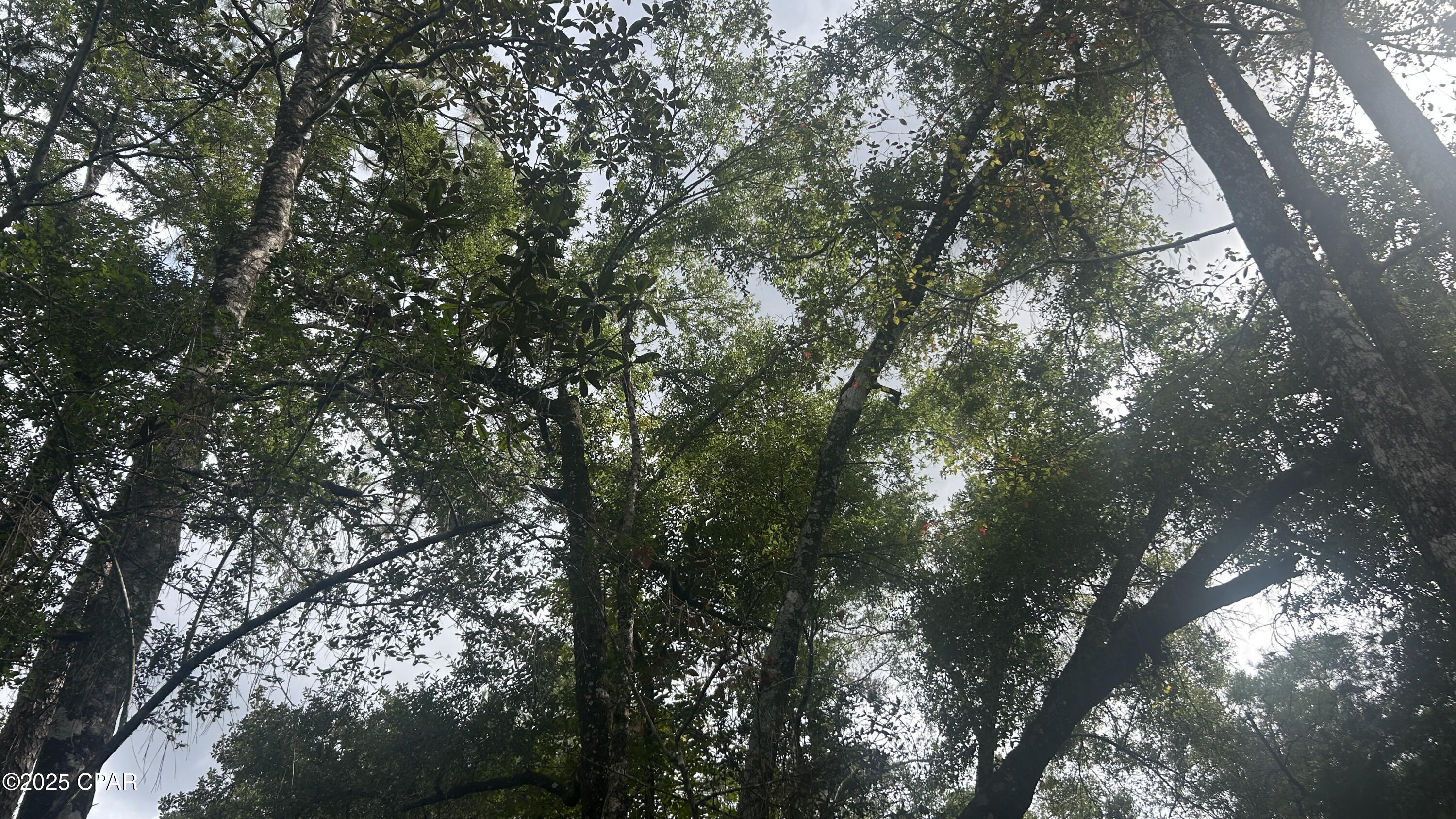 [No Recorded Subdiv] - Land