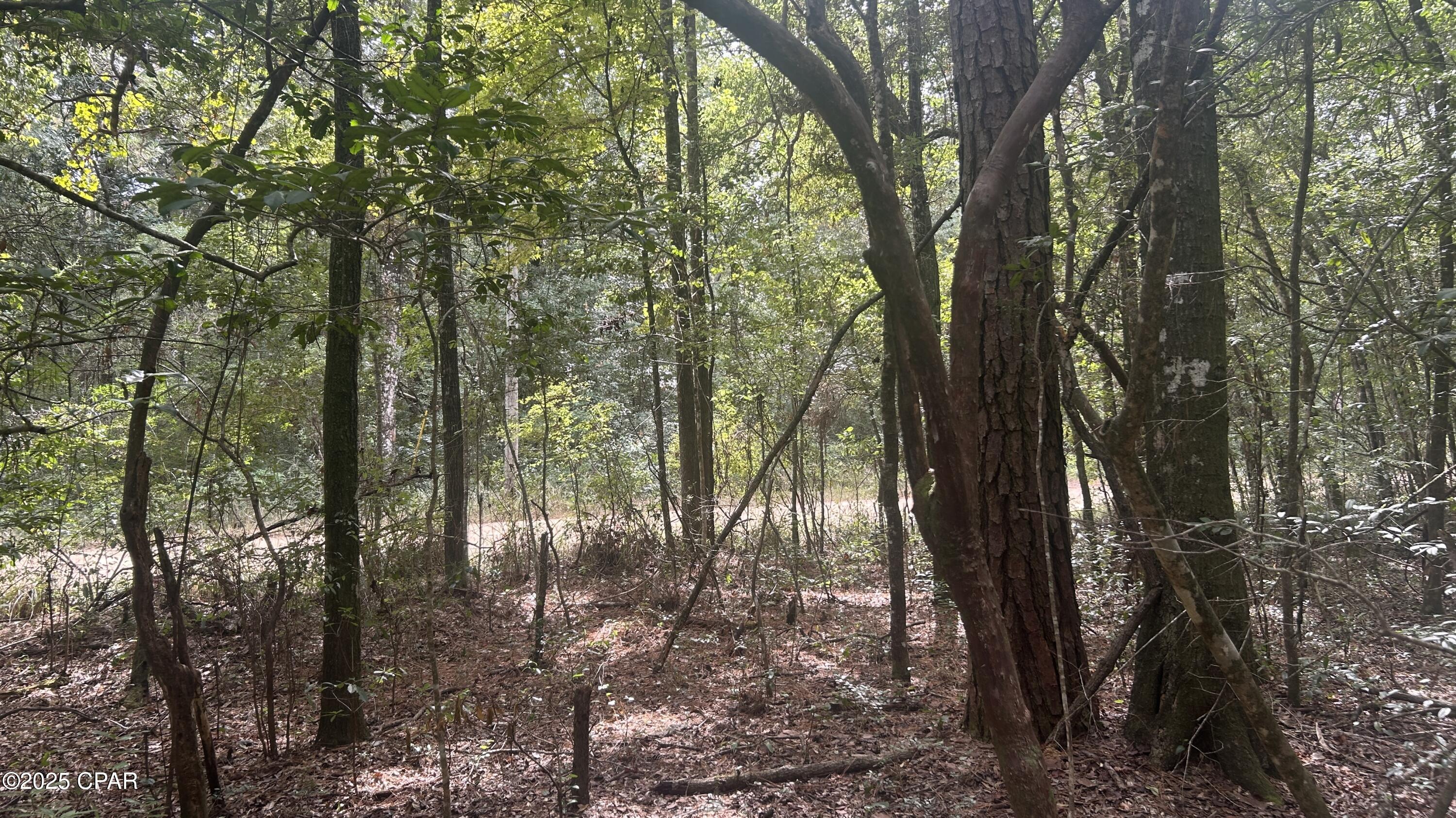 [No Recorded Subdiv] - Land